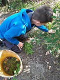Iskolakert