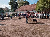 &Aacute;llatok vil&aacute;gnapja