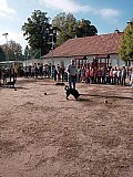 &Aacute;llatok vil&aacute;gnapja