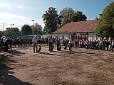 &Aacute;llatok vil&aacute;gnapja