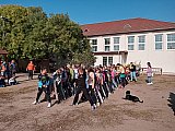 &Aacute;llatok vil&aacute;gnapja