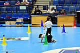 J&aacute;tsszunk egy&uuml;tt! ker&uuml;leti sportvet&eacute;lkedő 2026