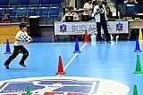 J&aacute;tsszunk egy&uuml;tt! ker&uuml;leti sportvet&eacute;lkedő 2026