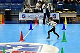 J&aacute;tsszunk egy&uuml;tt! ker&uuml;leti sportvet&eacute;lkedő 2026