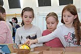 Robotika Workshop 2026