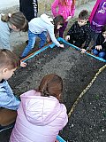 Iskolakert