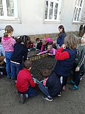 Iskolakert