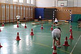 Als&oacute;s sport- &eacute;s eg&eacute;szs&eacute;gnap 